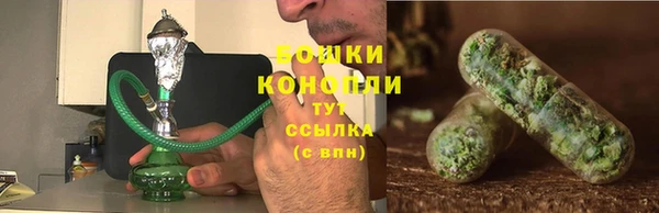 гидра Горняк