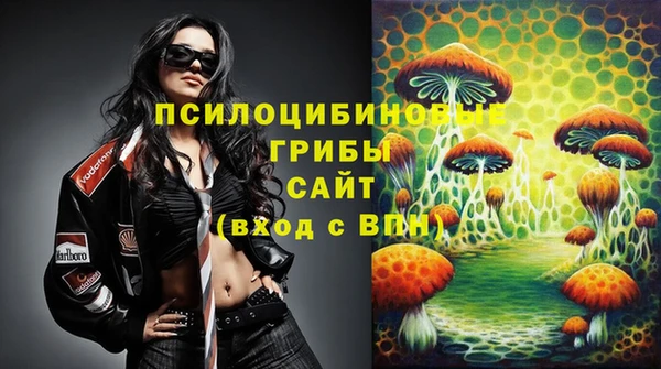 mdpv Гусиноозёрск