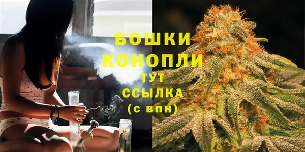mdpv Гусиноозёрск