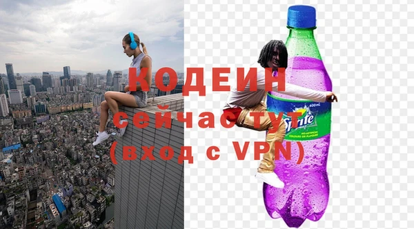 гидра Горняк