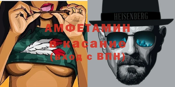 гидра Горняк