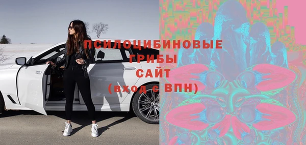 гидра Горняк