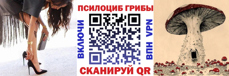 цена   Дубовка  KRAKEN ССЫЛКА  Псилоцибиновые грибы GOLDEN TEACHER 